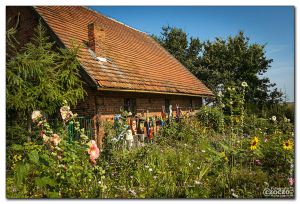 20130729-20130729-img_9311