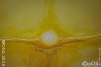 20151025-20151025-IMG_6204-WOGA2015-WOGA2015