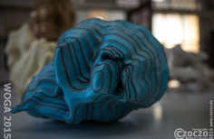 20151101-20151101-IMG_6266-WOGA2015-WOGA2015