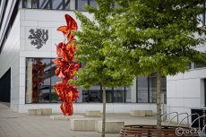 20200523-Bergische-Universität-9A1A7657