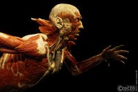 20200927-Koerperwelten-9A1A9190