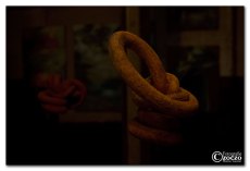 img_3570.jpg