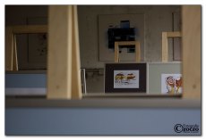 img_3583.jpg