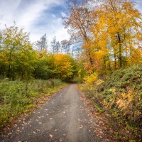 20201026-Herbstfarben-9A1A9349