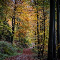 20201026-Herbstfarben-9A1A9369