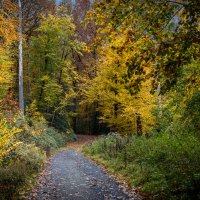 20201026-Herbstfarben-9A1A9373