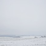 2023-01-22-9A1A4248-Winter