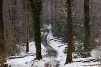 20250111-9A1A2375-Winter-eben