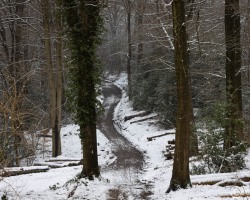 20250111-9A1A2375-Winter-eben 20250111-9A1A2375-Winter-eben
