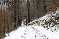 20250111-9A1A2387-Winter-eben