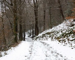 20250111-9A1A2387-Winter-eben 20250111-9A1A2387-Winter-eben