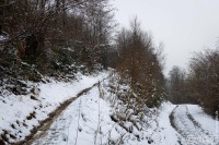 20250111-9A1A2388-winter-eben