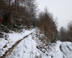 20250111-9A1A2388-winter-eben 20250111-9A1A2388-winter-eben