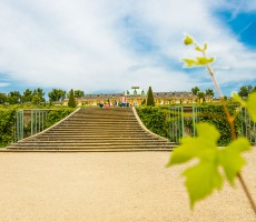 20210619-9A1A2899-LR-Sanssouci-2021