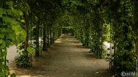 20210619-Sanssouci-Park-9A1A2942
