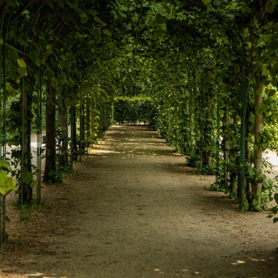 20210619-Sanssouci-Park-9A1A2942