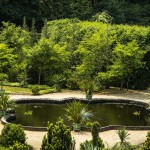 20210619-Sanssouci-Park-9A1A2947