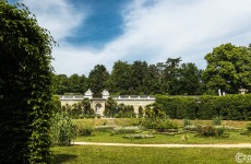 20210619-Sanssouci-Park-9A1A2950