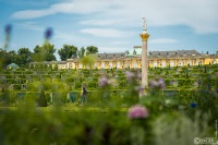 20210619-9A1A2926-LR-Sanssouci-2021