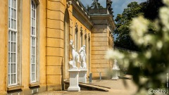 20210619-Sanssouci-Park-9A1A2945