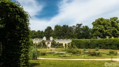 20210619-Sanssouci-Park-9A1A2950