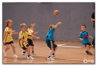 img_6635