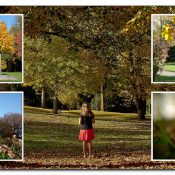 rundherum-natur rundherum-natur