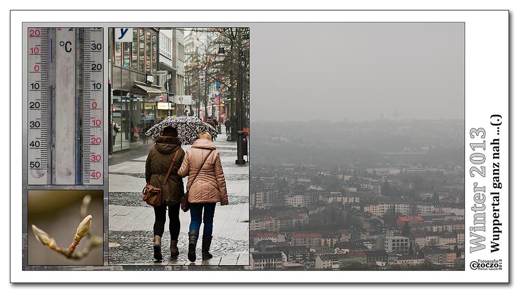 winter-2013-msgn