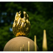 17. Mai 2015 - Gold und Silber - 8628