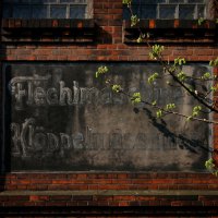 20050331-IMG_8168-ON1-Flechimaschinen