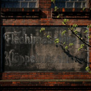 20050331-IMG_8168-ON1-Flechimaschinen