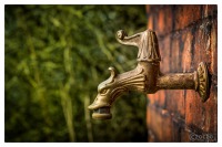 20150324 Drachen Hahn.jpg