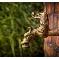 20150324 Drachen Hahn.jpg