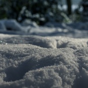 20170118-IMG_8705-Spuren im Schnee 20170118-IMG_8705-Spuren im Schnee