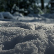 20170118-IMG_8705-Spuren im Schnee