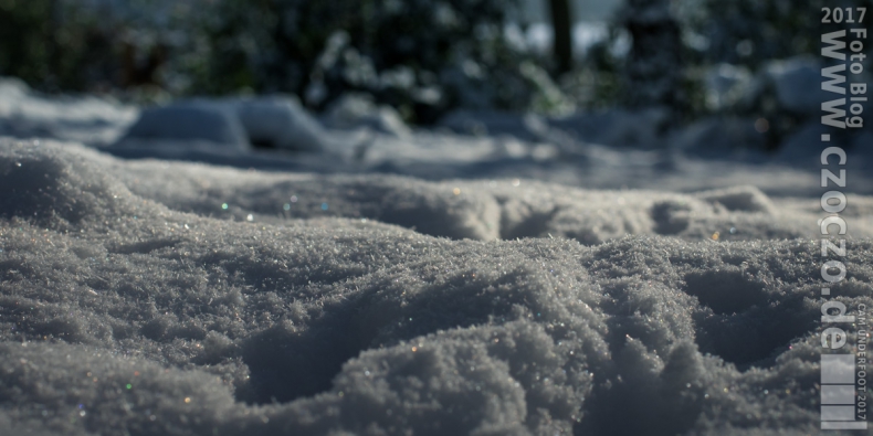 20170118-IMG_8705-Spuren im Schnee