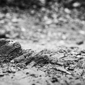 20170320-_MG_1558-Felsen 20170320-_MG_1558-Felsen