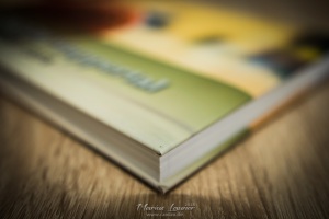 20180513 - Saison Buch-3