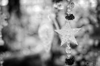 20191130-1Advent2020-9A1A4040