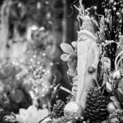 20191130-2-Advent2020-9A1A4054 20191130-2-Advent2020-9A1A4054
