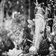 20191130-2-Advent2020-9A1A4054