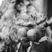20191130-3-Advent2020-9A1A4055 20191130-3-Advent2020-9A1A4055