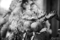 20191130-3-Advent2020-9A1A4055