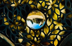 2022-03-04-_A1A5338-Im-Kugel