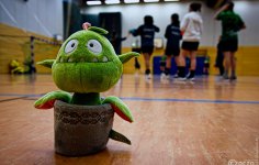 2023-01-29-9A1A4329-Kleine-Drache-