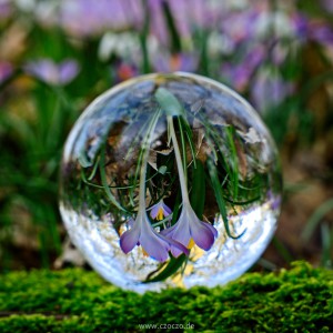 2023-02-22-9A1A5397-Fruehling-Kugel