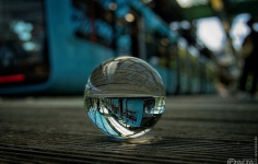 2023-06-03-9A1A8143-In-der-Kugel-gefallen