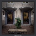 2023-07-02-9A1A8657-Bearbeitet-28-26-1