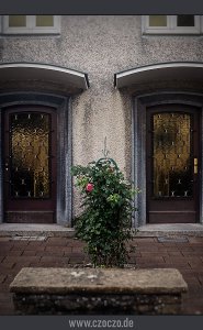 2023-07-02-9A1A8657-Bearbeitet-28-26-1