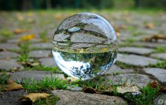 2023-09-14-9A1A1262-Kugel